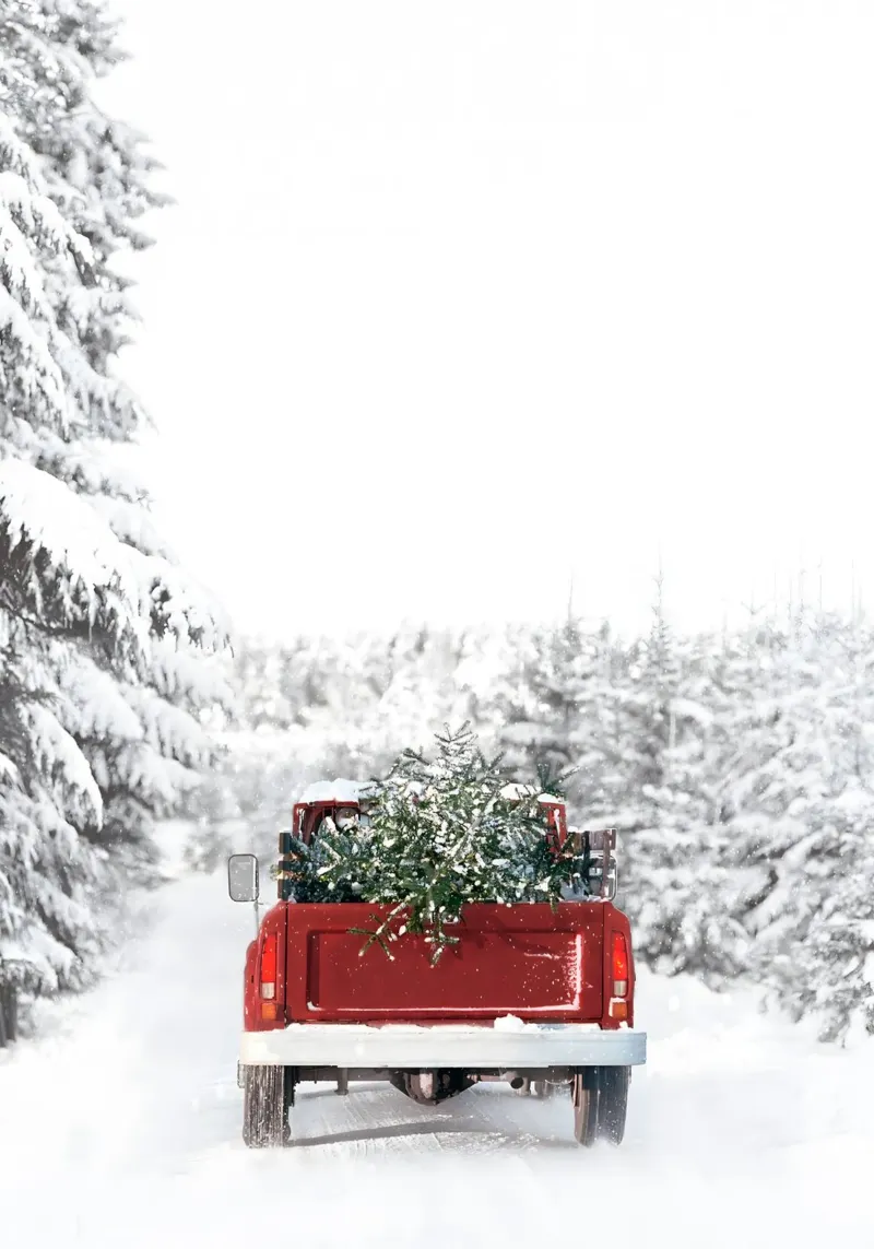 Tornare a casa per Natale plexiglass da Reece Scott