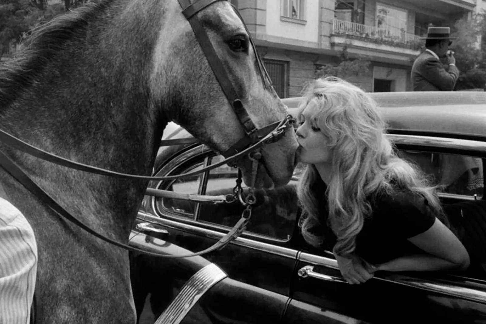 brigitte bardot nel 1958 a siviglia carta hahnemühle da April Lewis