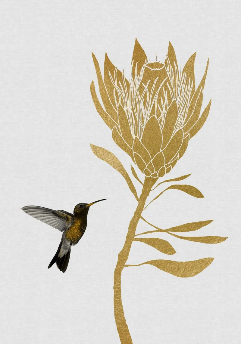 Colibrì e fiori I pellicola backlit da Orara Studio