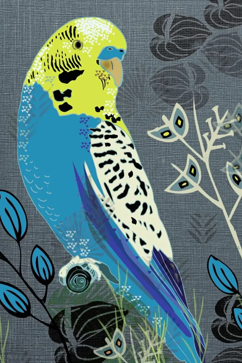 Budgie poster con telaio in alluminio da Rocket68