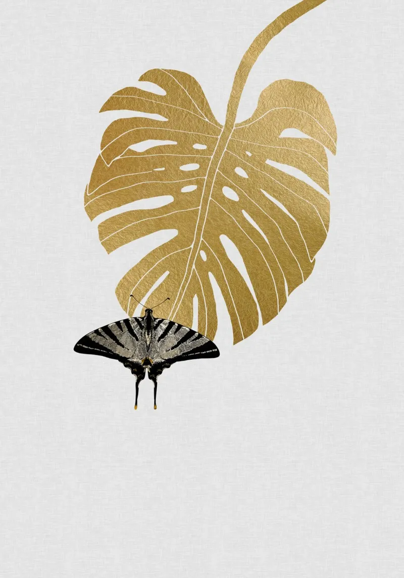 Farfalla e foglia di Monstera pellicola backlit da Orara Studio