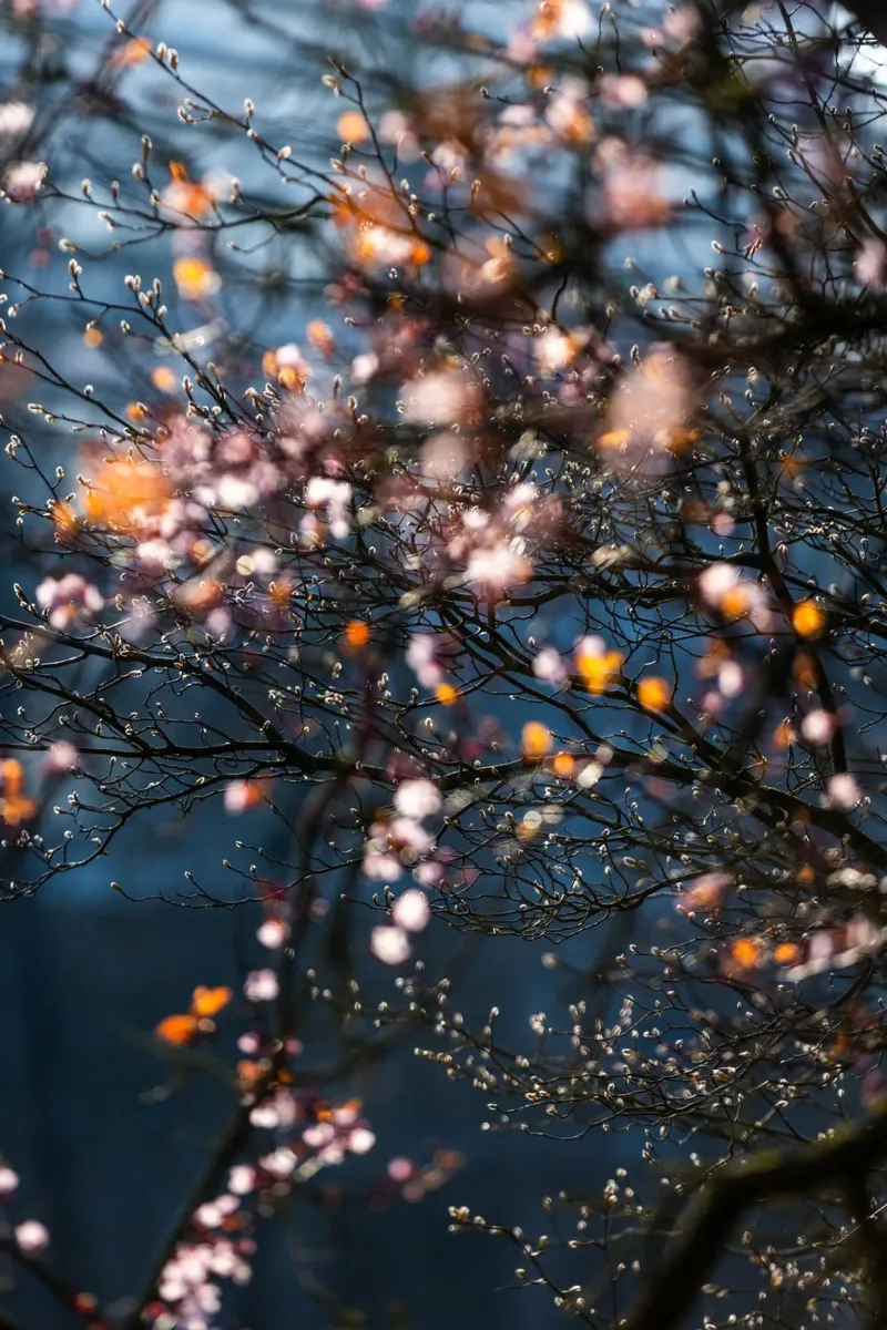 Spring Moments 2 poster con telaio in plastica da Mareike Böhmer Photography