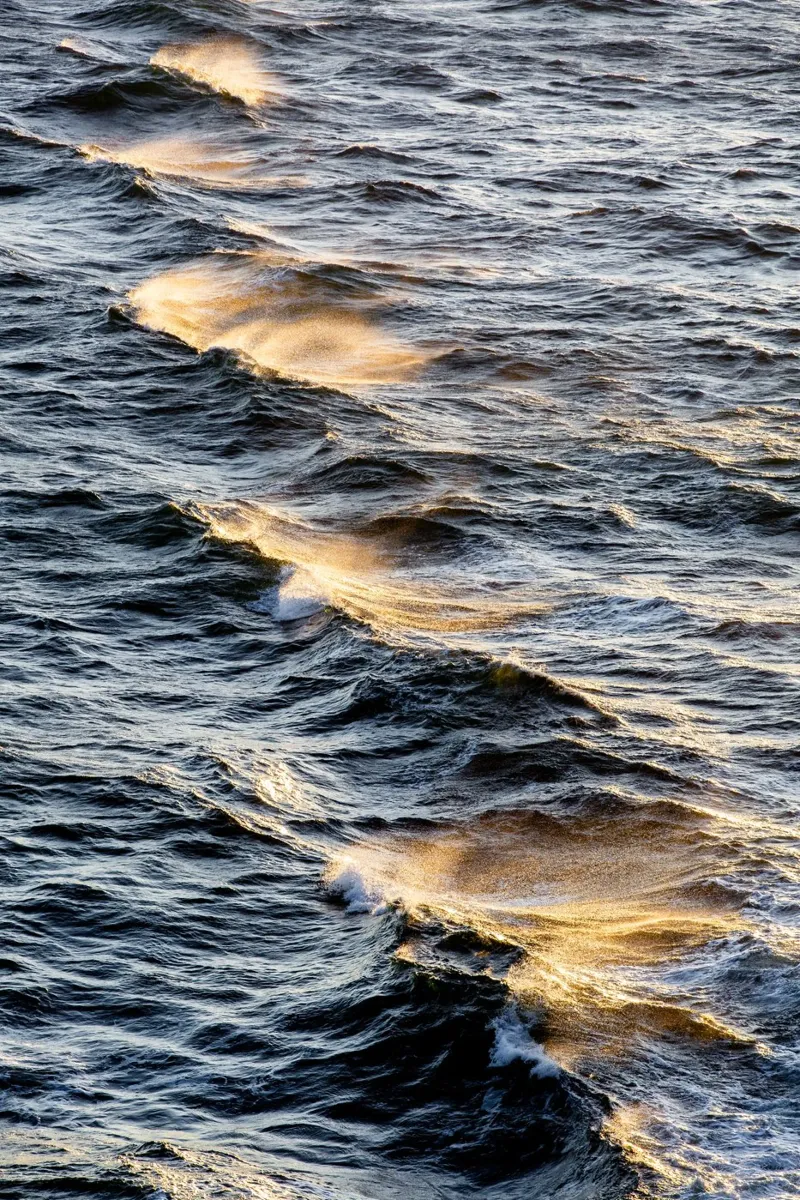 Sunkissed Waves 2 alluminio dibond da Mareike Böhmer Photography