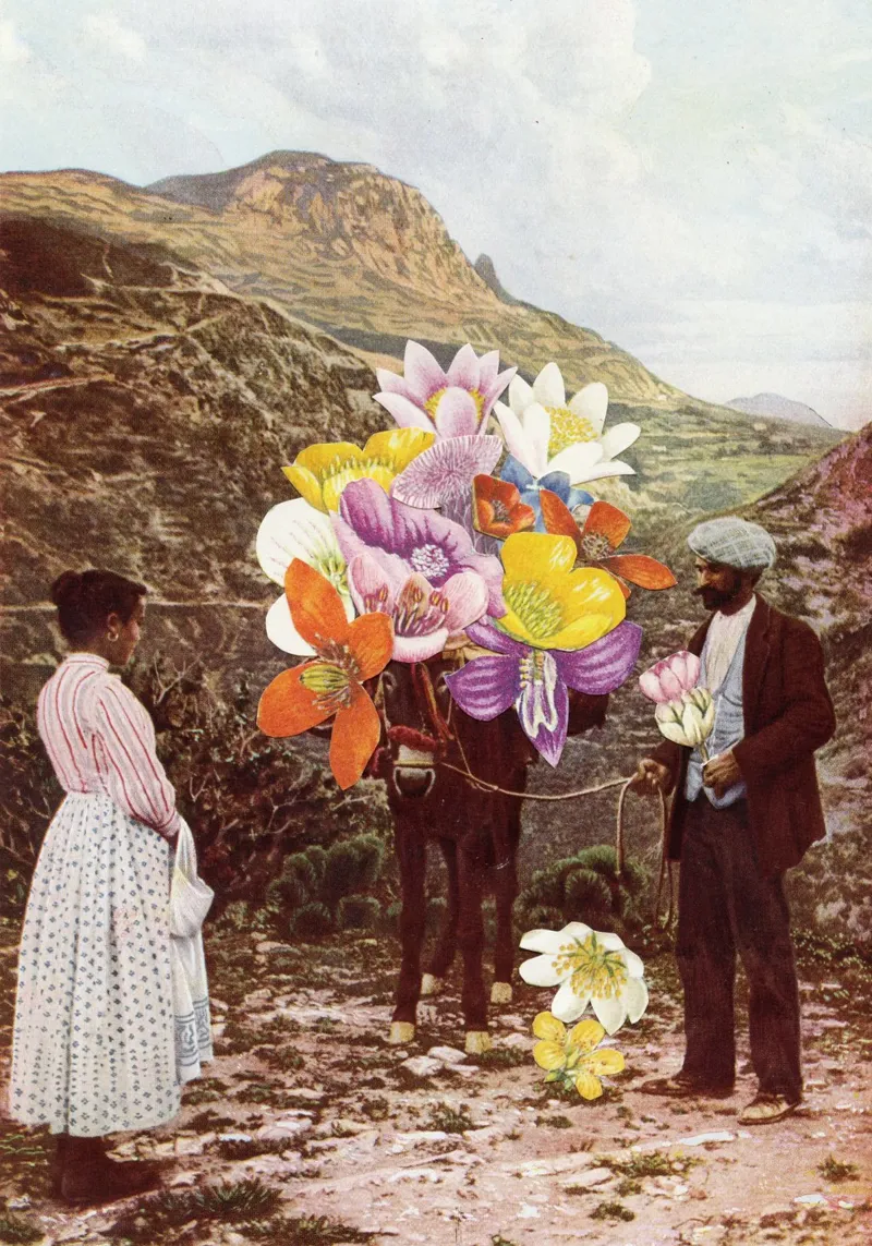 The Suitor pellicola backlit da Cassia Beck Collage