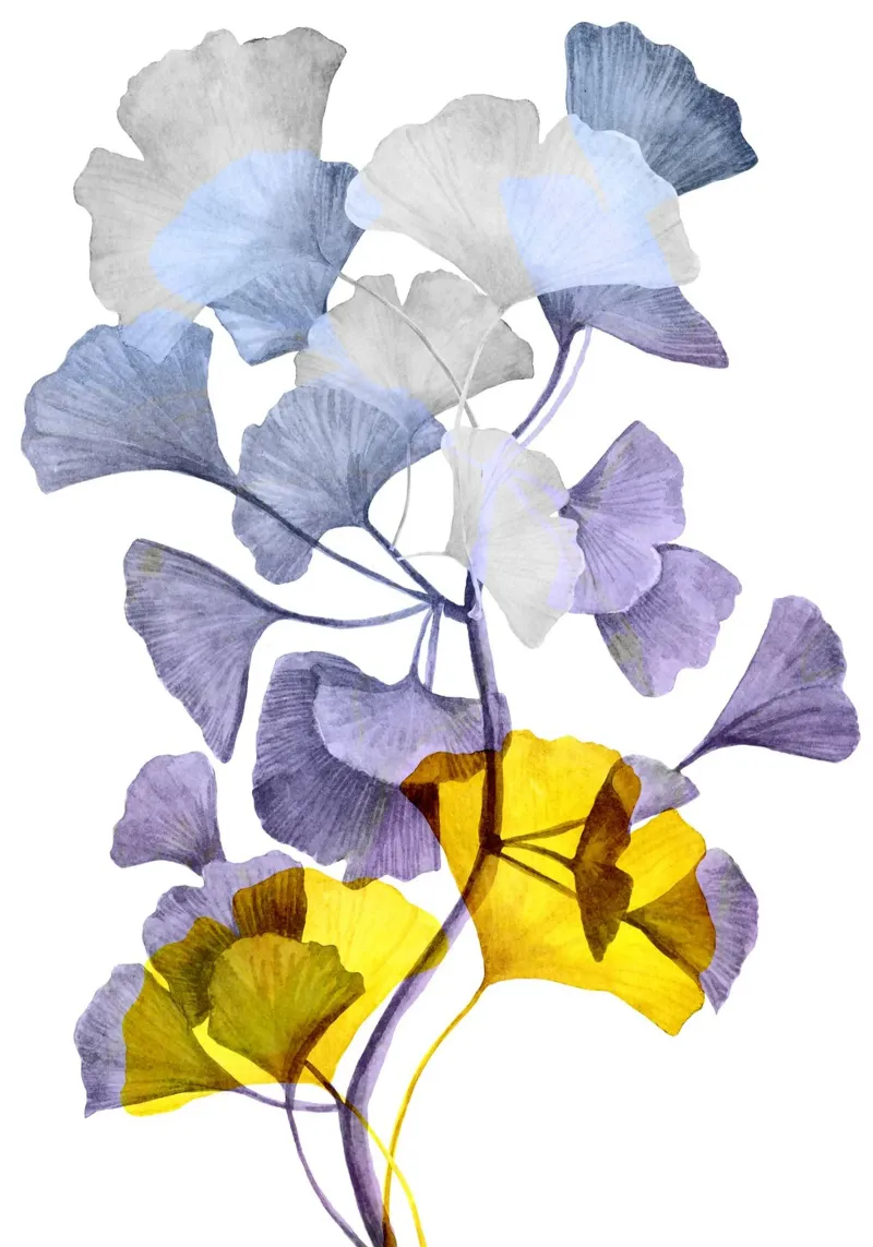 Ginkgo biloba art pellicola backlit da Justyna Jaszke JBJart