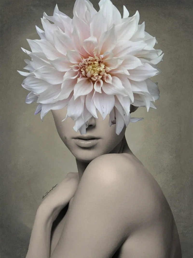 Dahlia carta hahnemühle da Ana Paula Hoppe