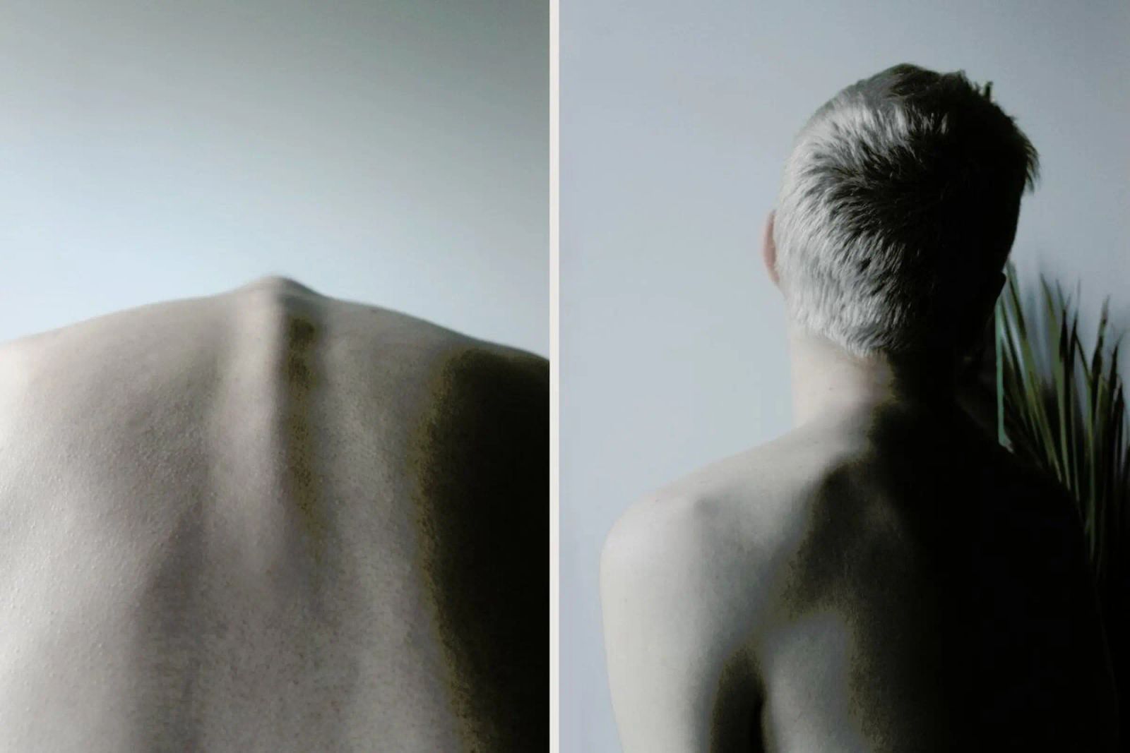 Spine metacrilato de George Griefy