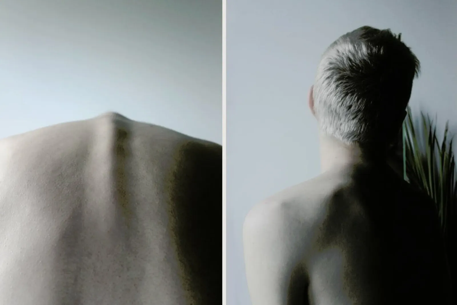 Spine pellicola backlit da George Griefy