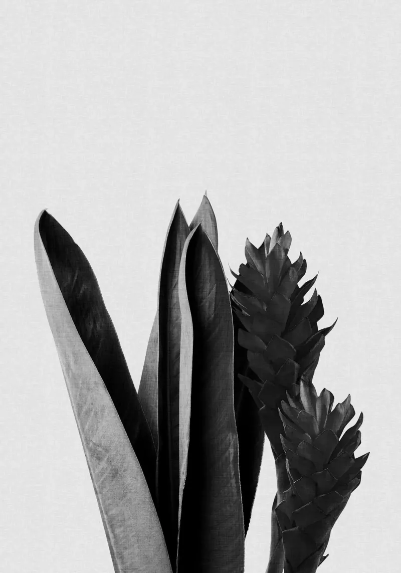 Fiore in bianco e nero pellicola backlit da Orara Studio