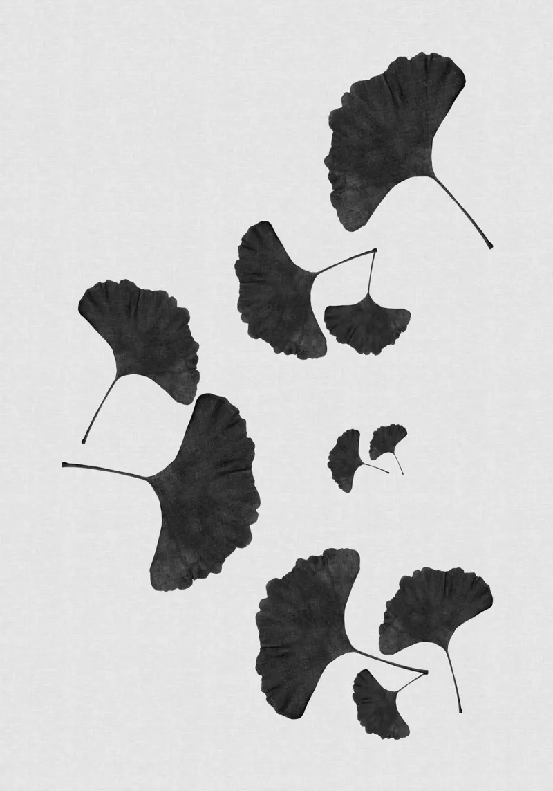 Foglie di ginkgo in bianco e nero I pellicola backlit da Orara Studio