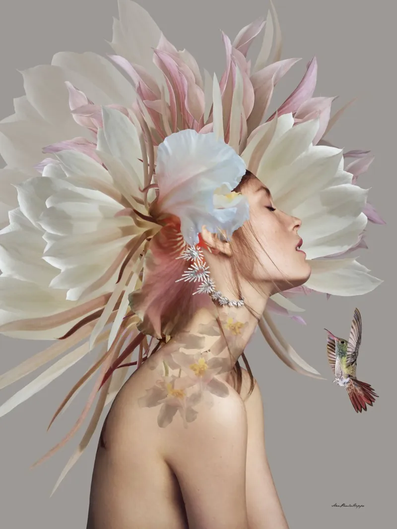 Nath plexiglass da Ana Paula Hoppe