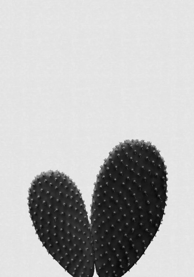 Cuore di cactus in bianco e nero pellicola backlit da Orara Studio