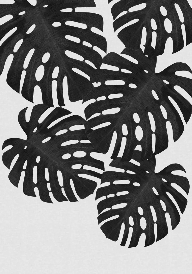 Monstera Foglia Bianco e Nero I pellicola backlit da Orara Studio