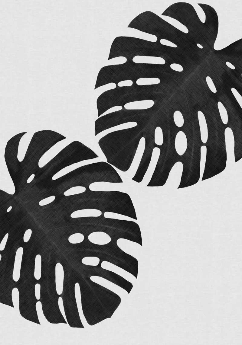 Monstera Foglia Bianco e Nero II pellicola backlit da Orara Studio