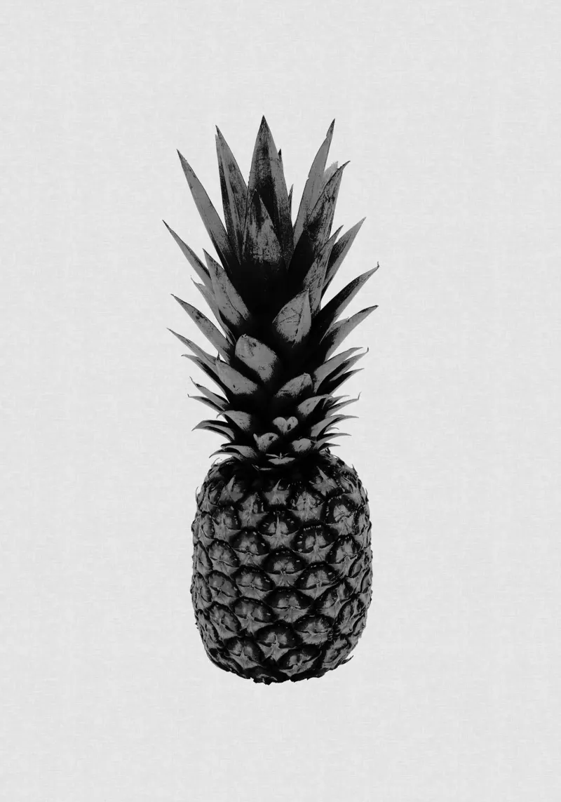 Ananas in bianco e nero pellicola backlit da Orara Studio