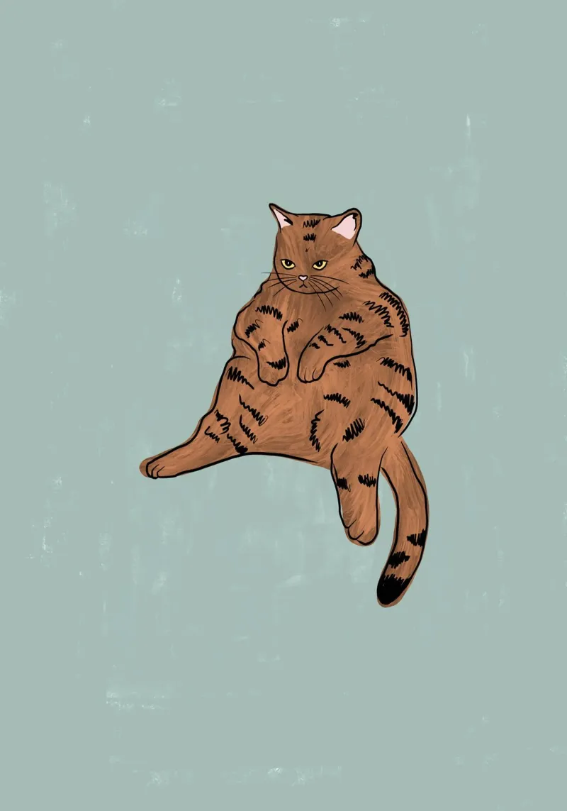 Gatto marrone pellicola backlit da Orara Studio