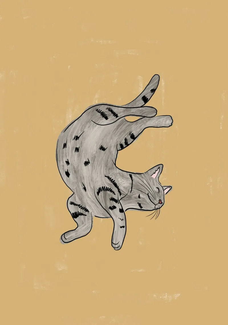Graue Katze Hahnemühle von Orara Studio
