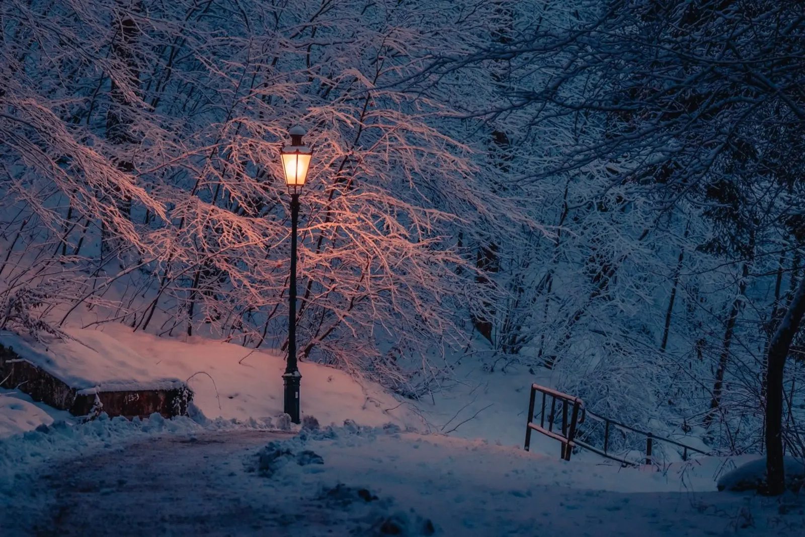 Lanterna notturna invernale pellicola backlit da Marcel Bisig