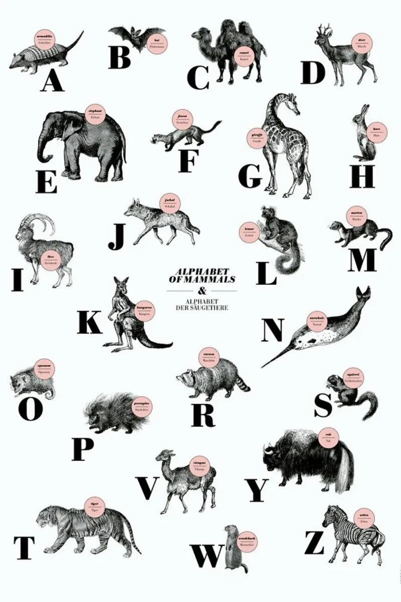 alphabet of mammals, animal ABC pellicola backlit da The True Type