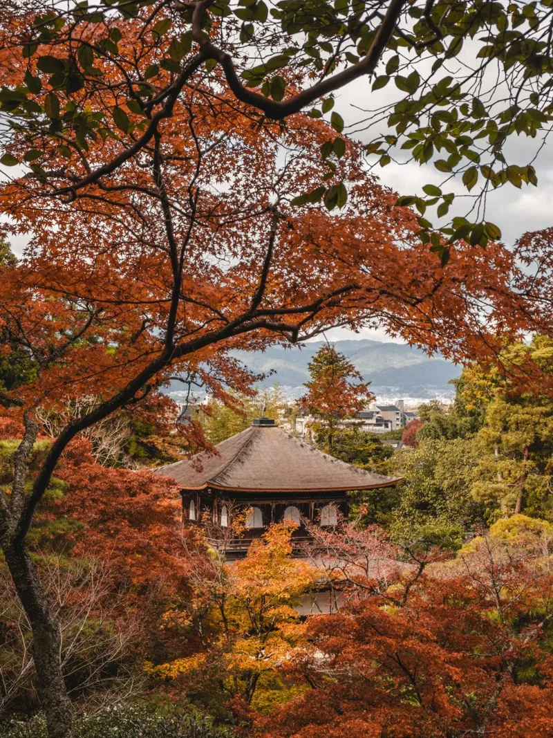Tempio d'autunno a Kyoto, Giappone pellicola backlit da Marcel Bisig