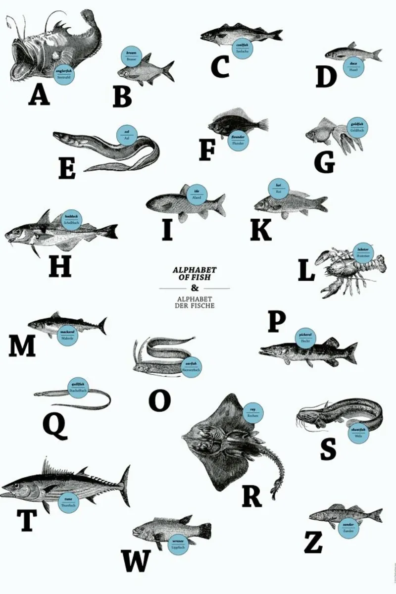 alphabet of fish, animal ABC poster con telaio in legno da The True Type