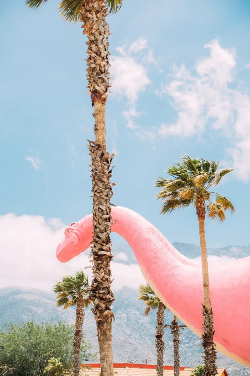 Pink Cabazon Dinosaur pellicola backlit da patiphotography