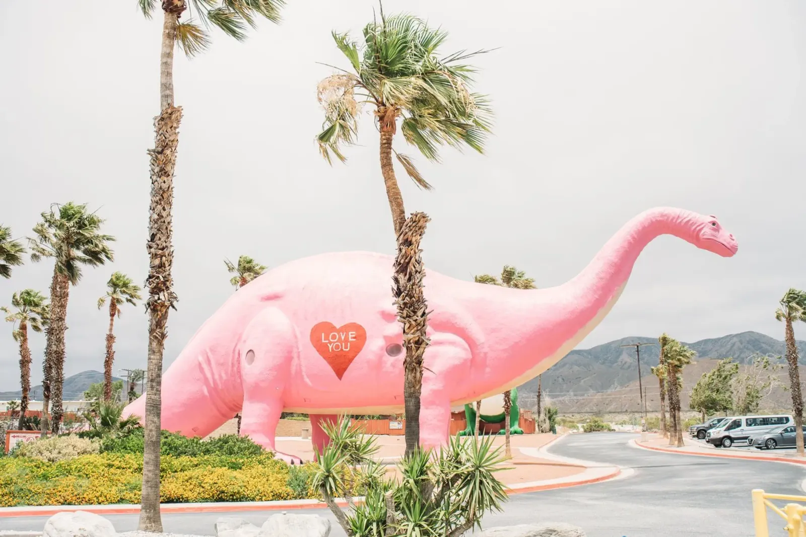 Love You Dinosaur Poster mit Aluminium Rahmen von patiphotography