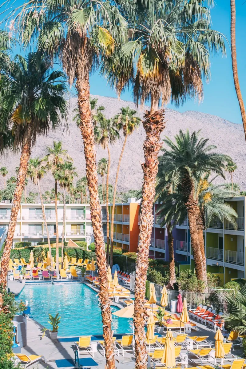 Palm Spring Hotel pellicola backlit da patiphotography