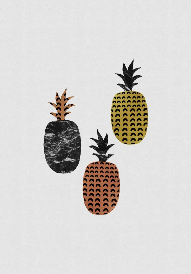 Scandi Pineapples carta hahnemühle da Orara Studio