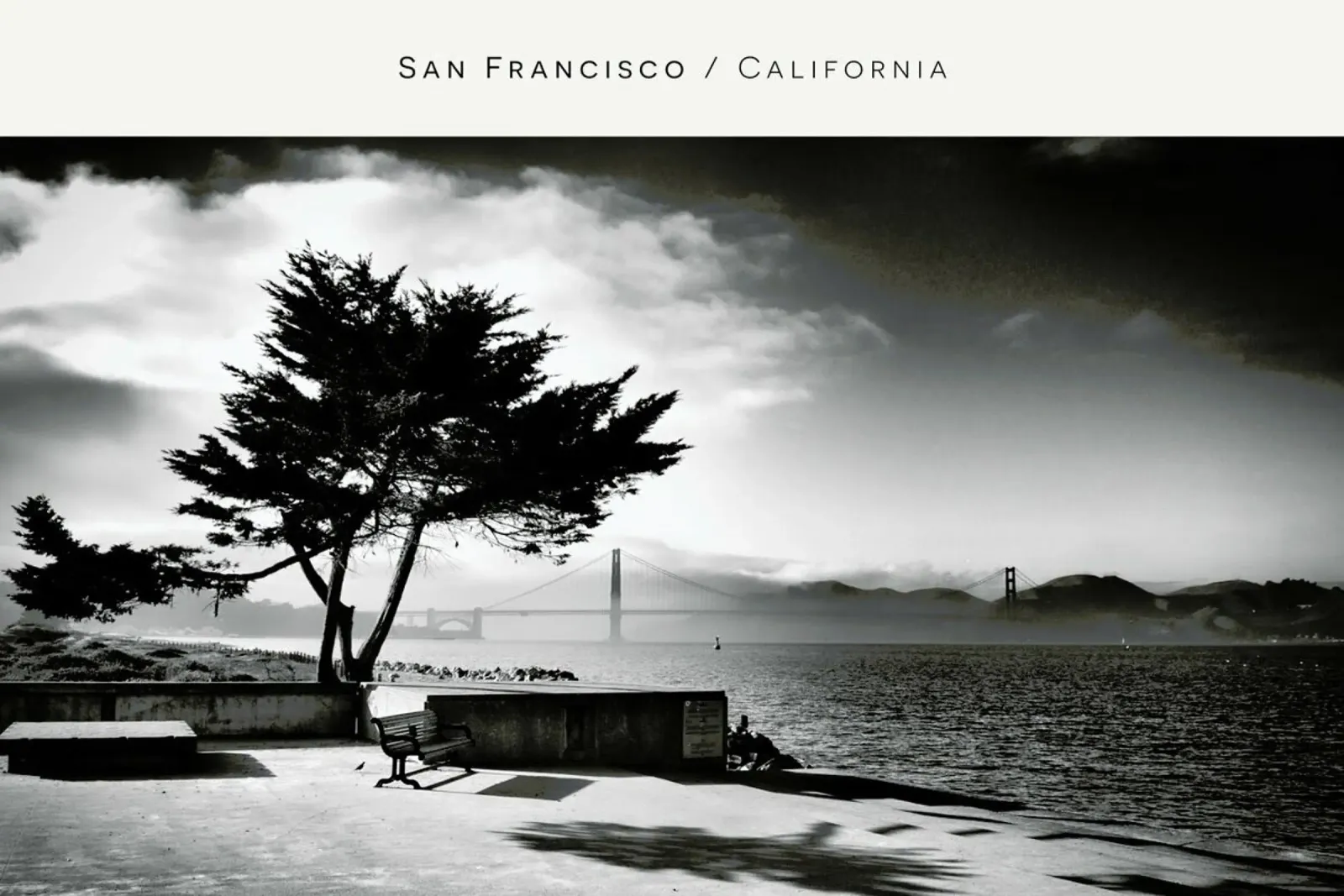 San Fransisco B&W pellicola backlit da In Full Color