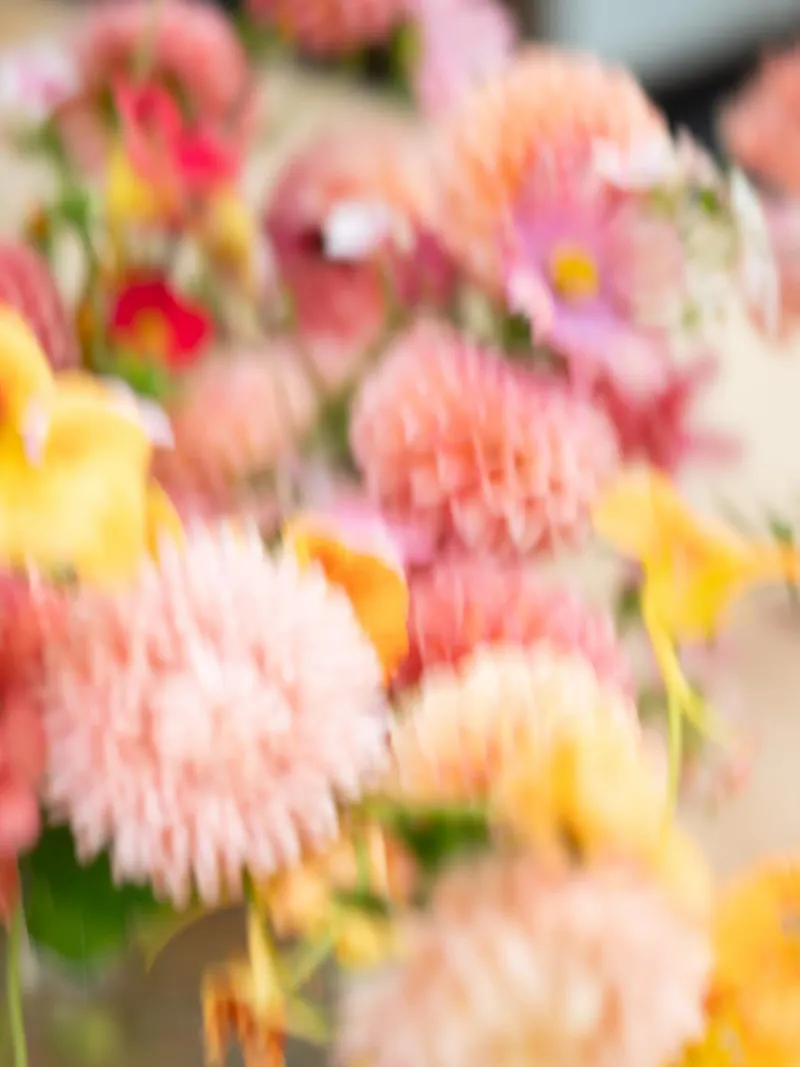 Bewegte Blumen - Abstrakte Blumenfotografie Poster mit Holzrahmen von Raisa Zwart Photography