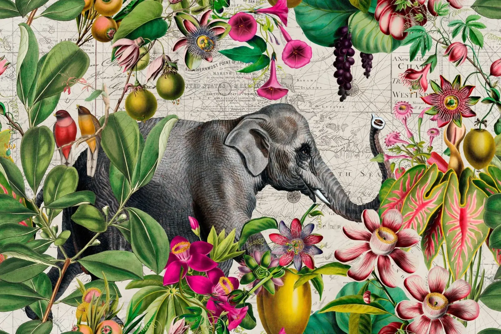 Elefanti Paradiso Tropicale carta hahnemühle da Andrea Haase Vintage World