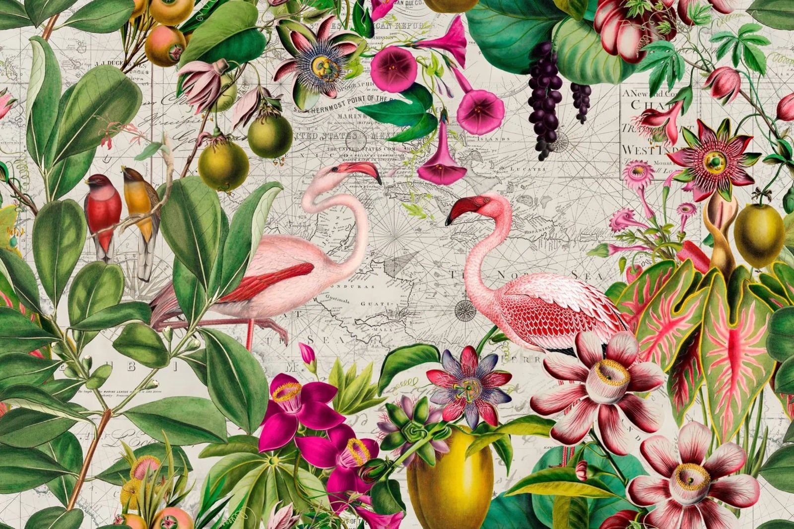 L'île tropicale des flamants roses poster de Andrea Haase Vintage World