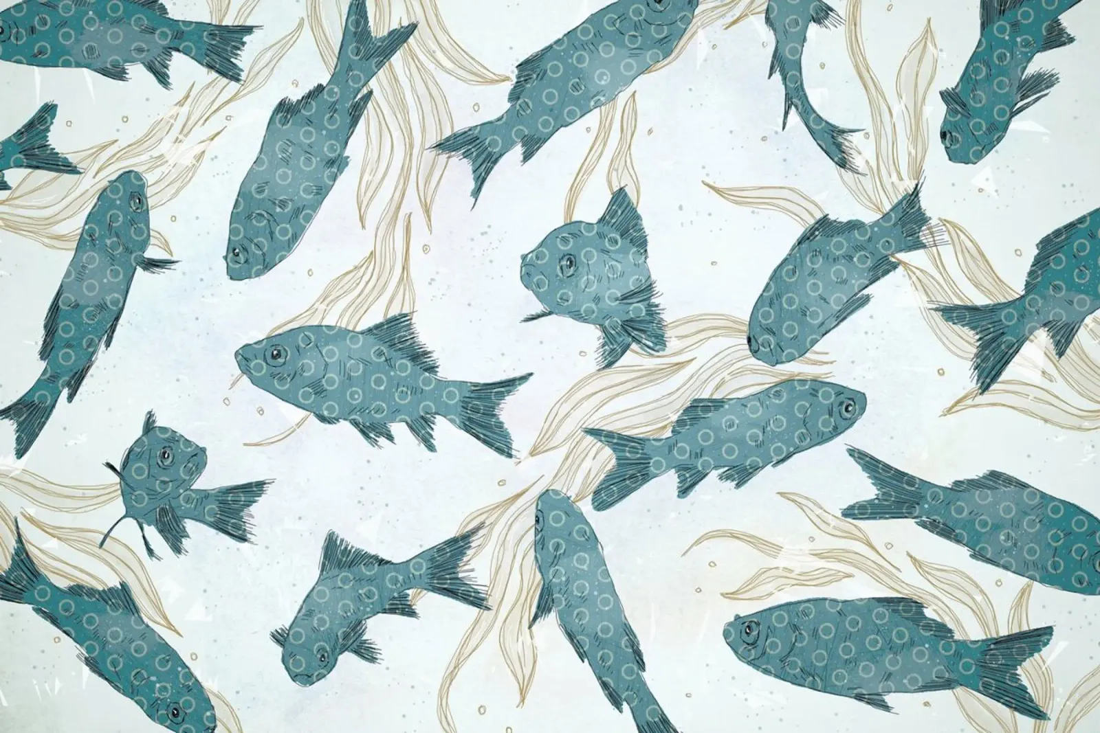 Blue Fish carta hahnemühle da Tracie Andrews