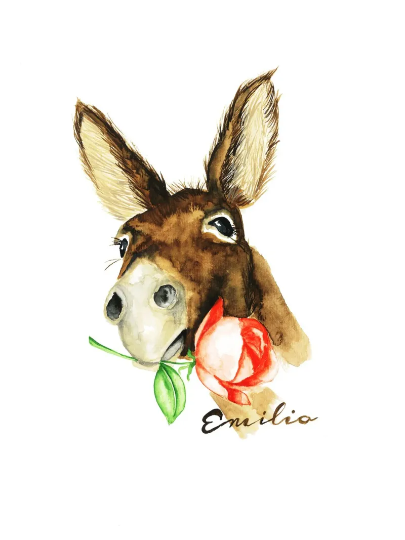 Emilio the Donkey carta hahnemühle da Nathys_illustration