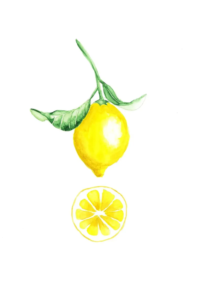 citrus carta hahnemühle da Nathys_illustration