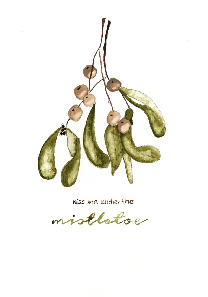 mistletoe carta hahnemühle da Nathys_illustration