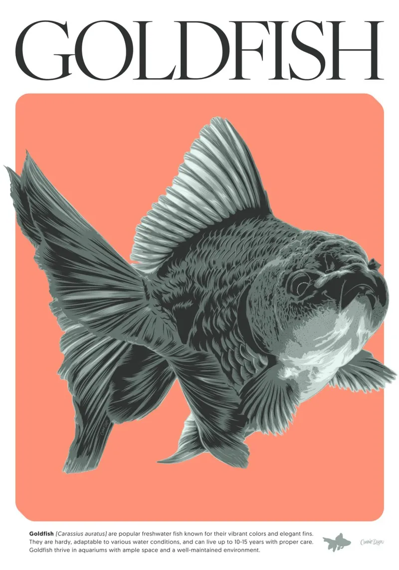 PESCE D'ORO carta hahnemühle da Cranio Dsgn