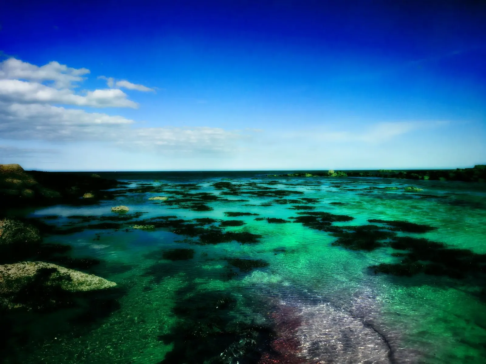 Shallow water, Scotland alluminio dibond da gtobonart
