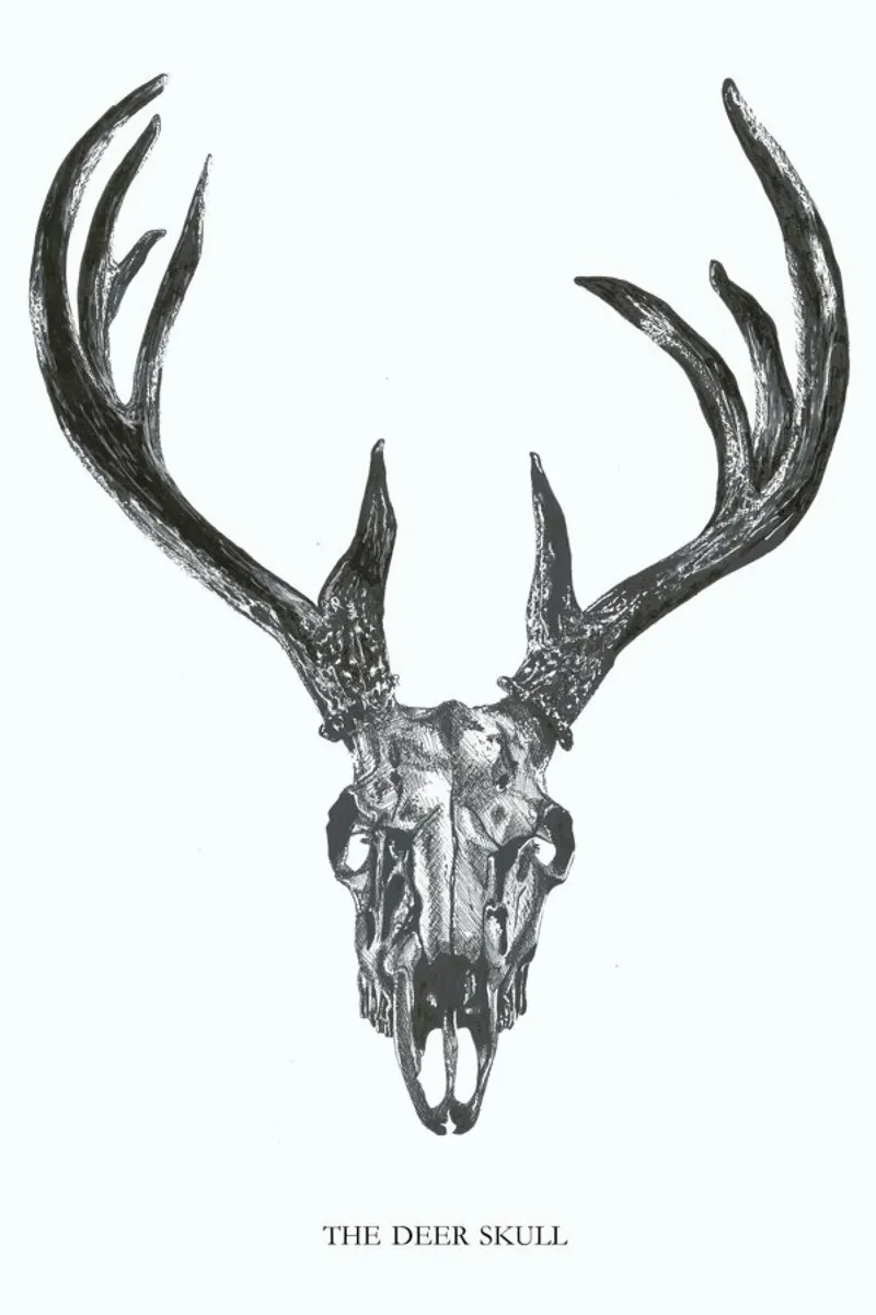 The Deer Skull pellicola backlit da Mathilde Olsen
