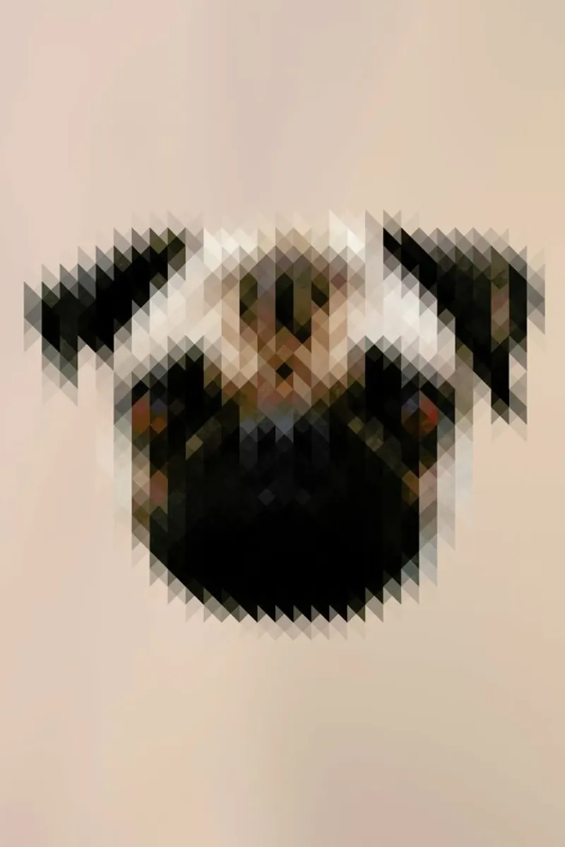 Mops plexiglass da Nur Mut