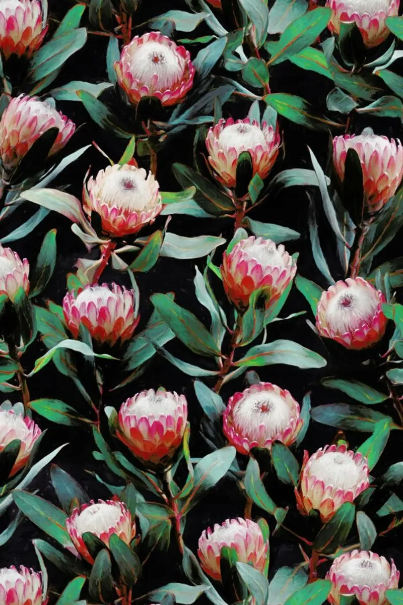 Evening Proteas in Color pellicola backlit da Micklyn Le Feuvre