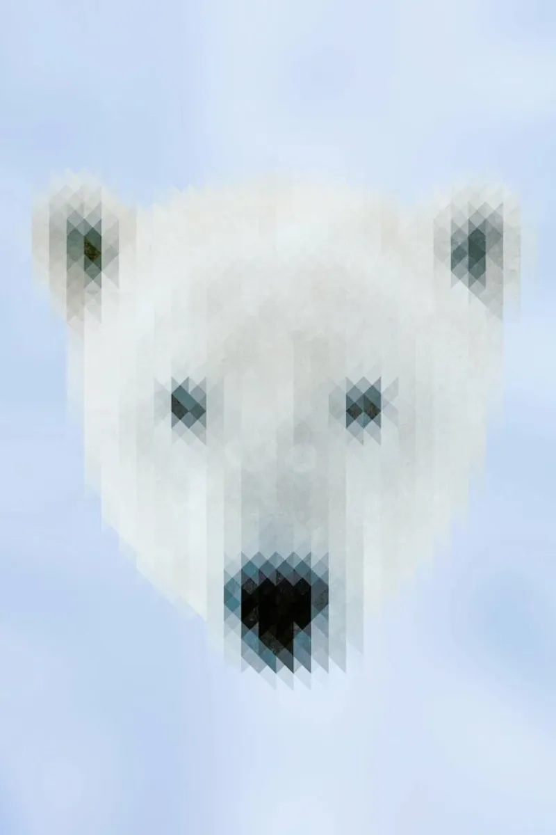 Polarbear carta hahnemühle da Nur Mut