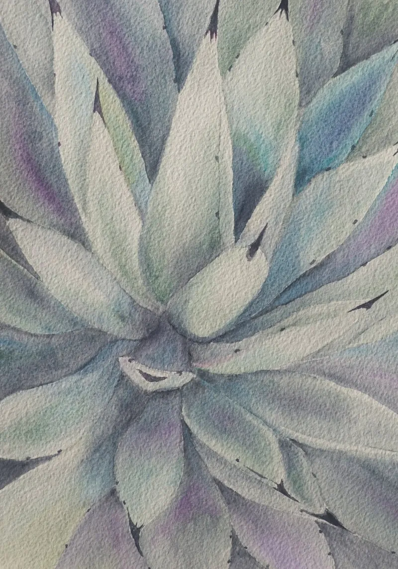 Cactus stella magica poster con telaio in alluminio da Eva Nev Watercolor