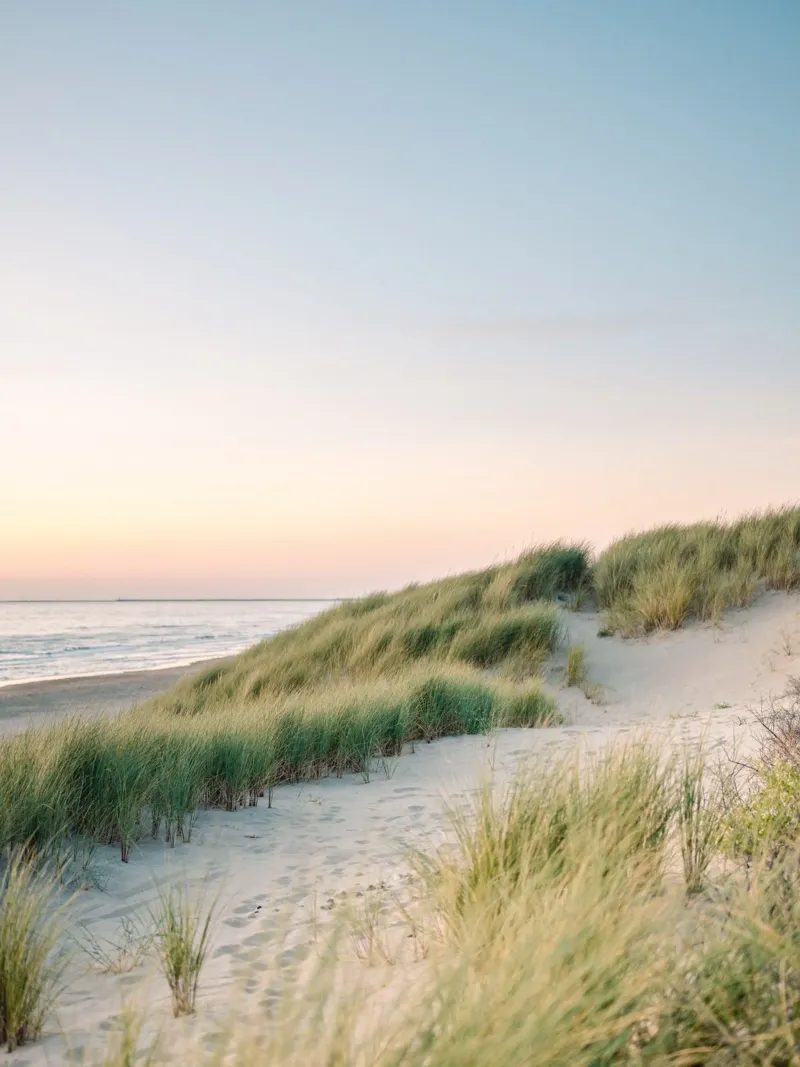 Dunes of Holland - Travel Photography in the Netherlands hahnemühle by Raisa Zwart Photography