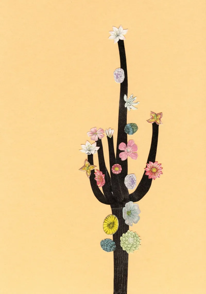 Cactus in fiore poster con telaio in plastica da Cassia Beck Collage