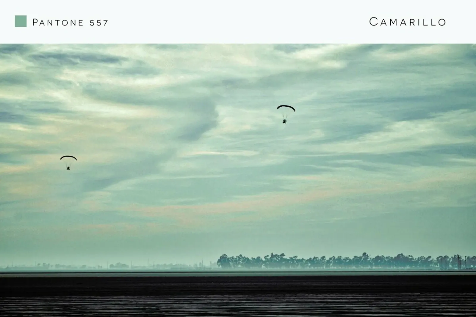 Camarillo Pantone 557 poster con telaio in legno da In Full Color