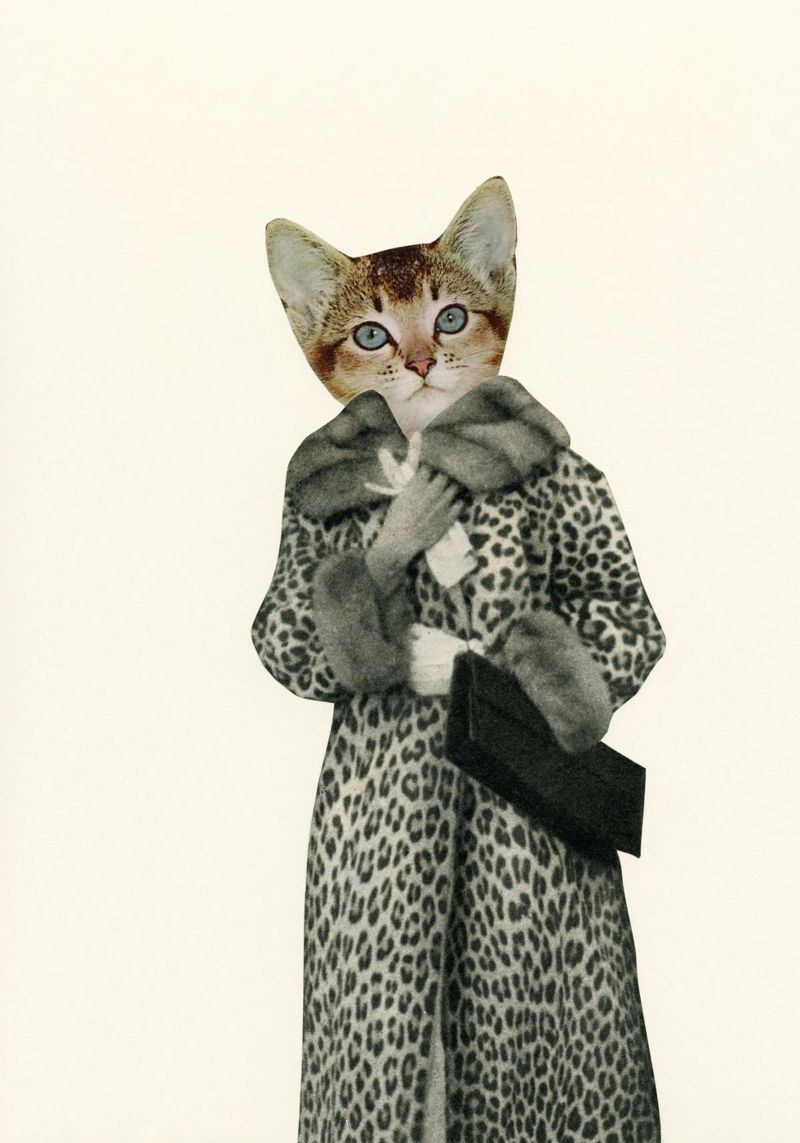 Kitten Dressed as Cat poster by Cassia Beck Collage