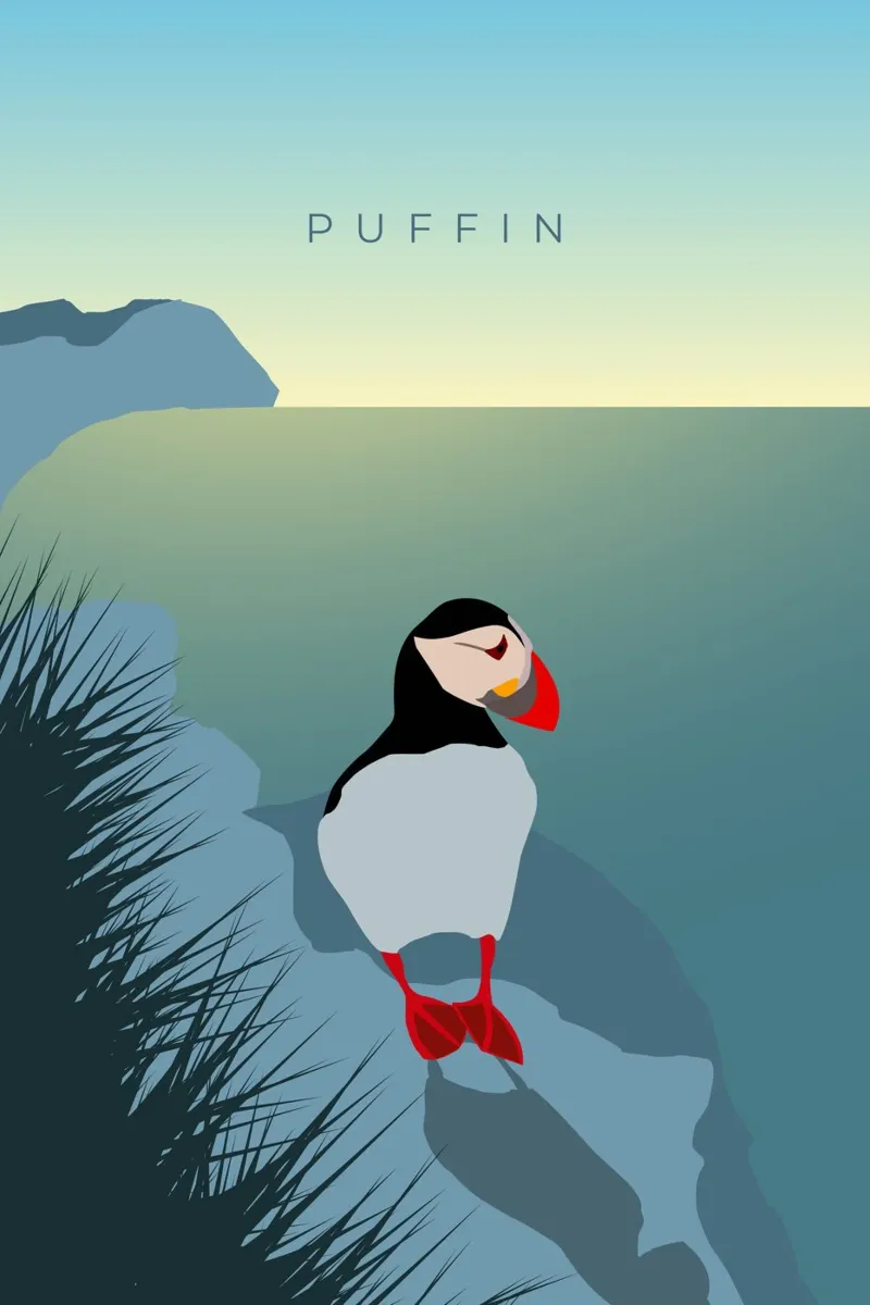Puffin pellicola backlit da minimalist designs