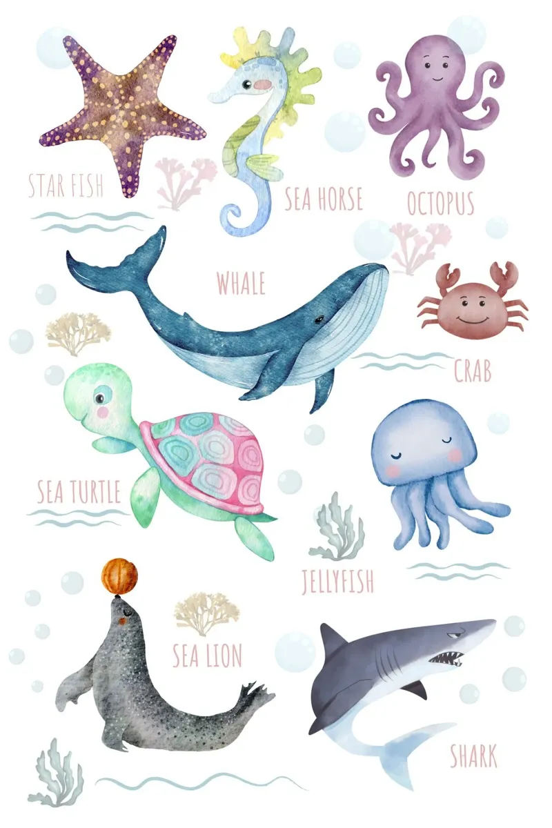 Sealife, ocean animals alu-dibond by DesignArt